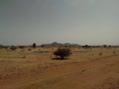 Dirt Road nach Musawwarat: Es grünt so grün!