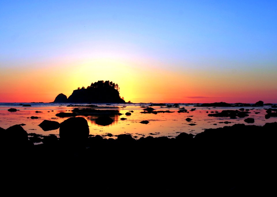 The western terminus of the PNT at Cape Alava in Olympic National Park
