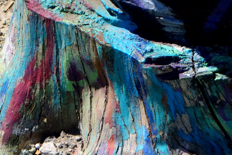 peacock-painted stump