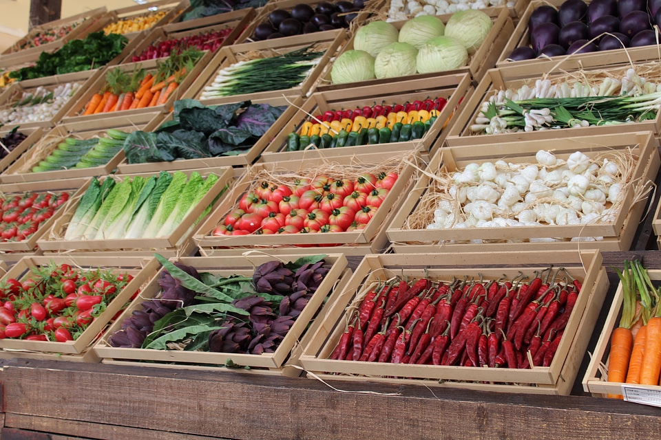 Vegetable basket eat vegetale