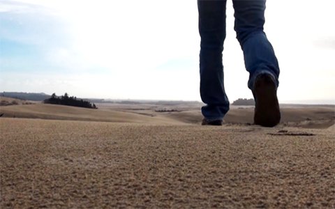 Walking on the Oregon Dunes, Siuslaw National Forest