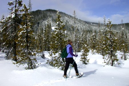 Snowshoeing at White River-Mt Hood photo