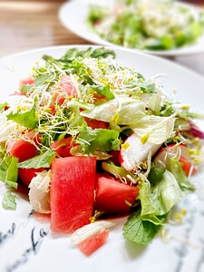 Vegan fresh season