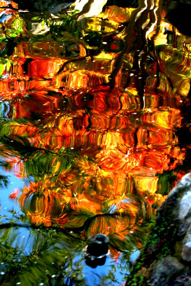 autumn reflections