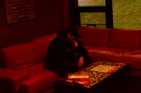 DSC 0060