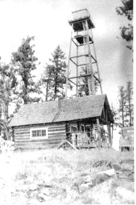 010 Mt Annie Lookout 1