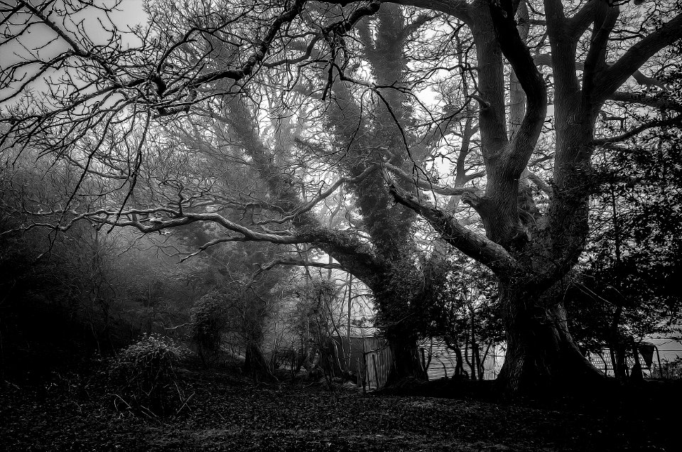 photo-1440882616325-43e474ece3d0