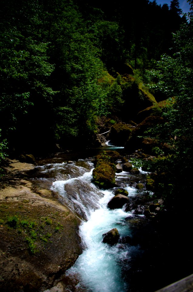 Rapids on Tanner Creek at Wahclella Falls-Columbia River Gorge