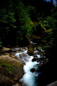 Rapids on Tanner Creek at Wahclella Falls-Columbia River Gorge photo