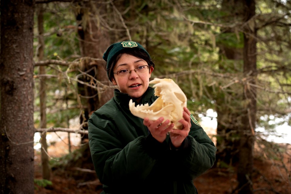 202002 Forest Service Interpretive Ranger holds an animal skull USDA photo