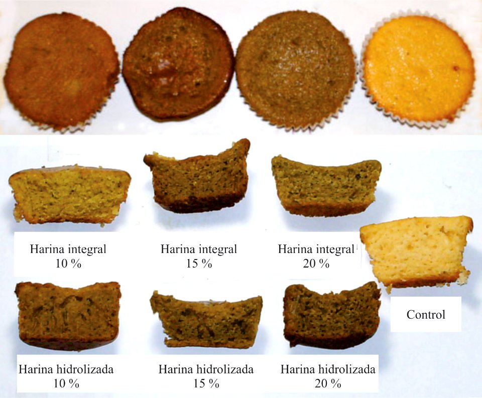 Postres tipo ponquecitos con harina de cladodios del cactus Opuntia boldinghii