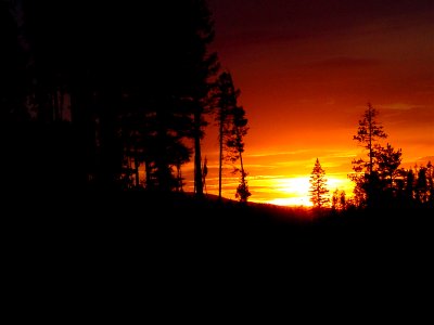 Sunset On the Wallowa-Whitman National Forest photo