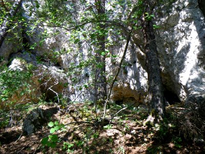 Baume de l ' Or  Mont Ventoux nord
