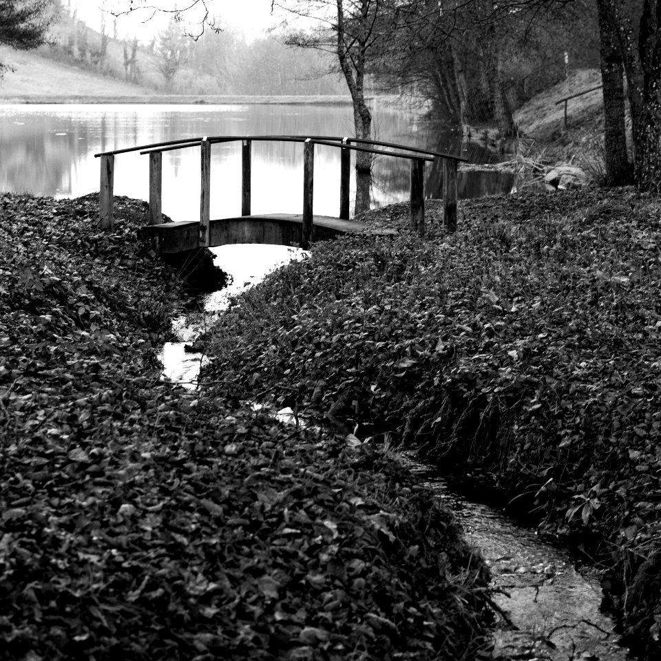 Le petit pont de bois.jpg