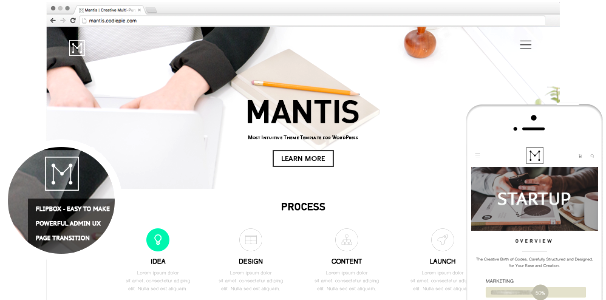 Codie Pie's Project: MANTIS