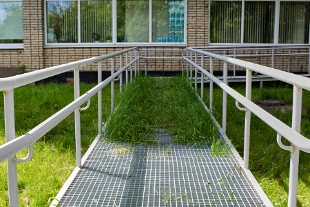 The most environmentally friendly ramp in the world. ))) photo
