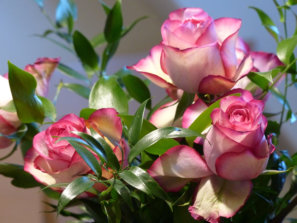 Decorative blossom bloom