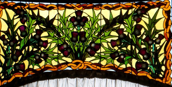 thistles, stained glass photo
