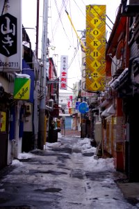 Backside of alley in winter