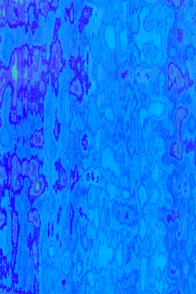 blue-and-purple paper photo