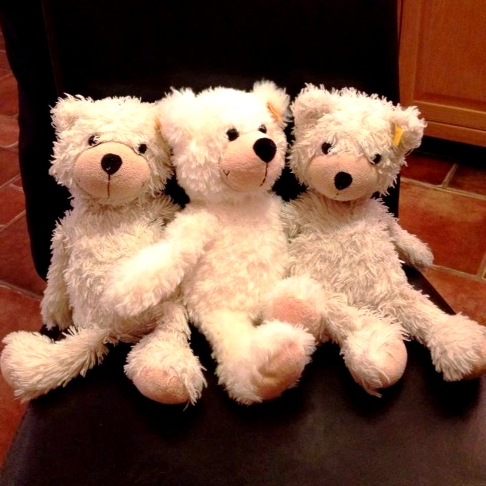 Three Teddies