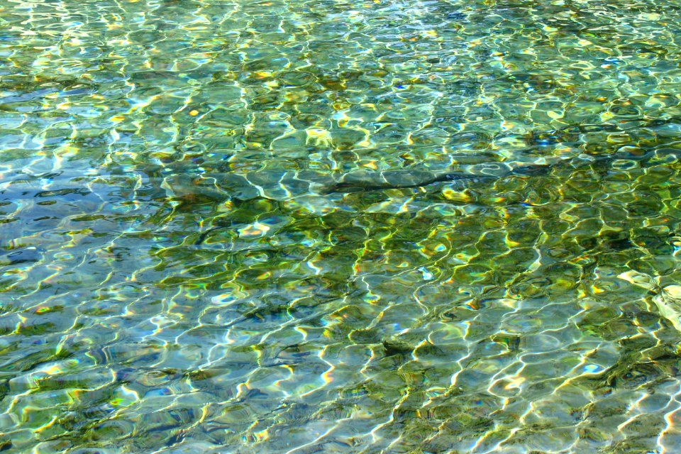 water texture 12 photo