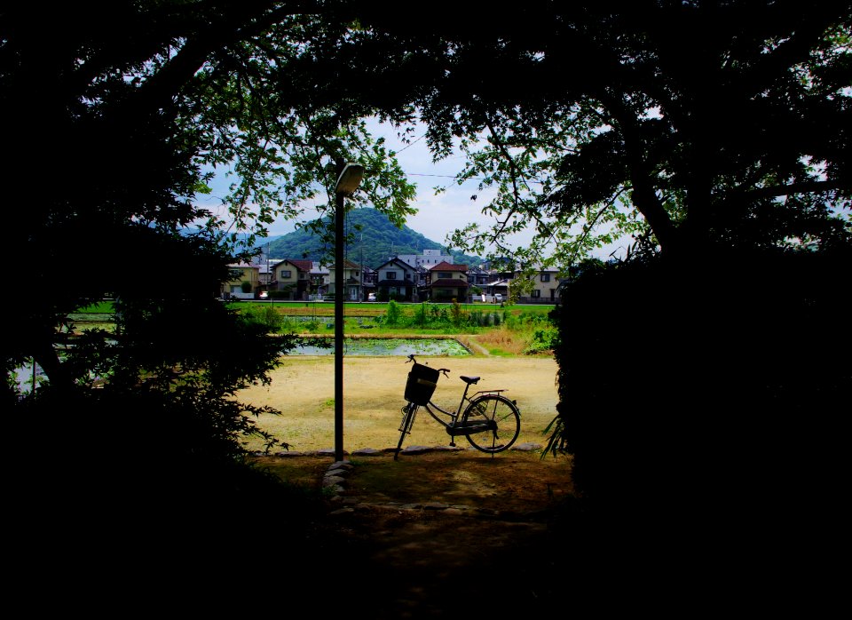 2012 07@奈良京都巡航062