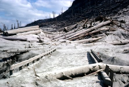 606 Mt St Helens NVM,  ash covered landscape