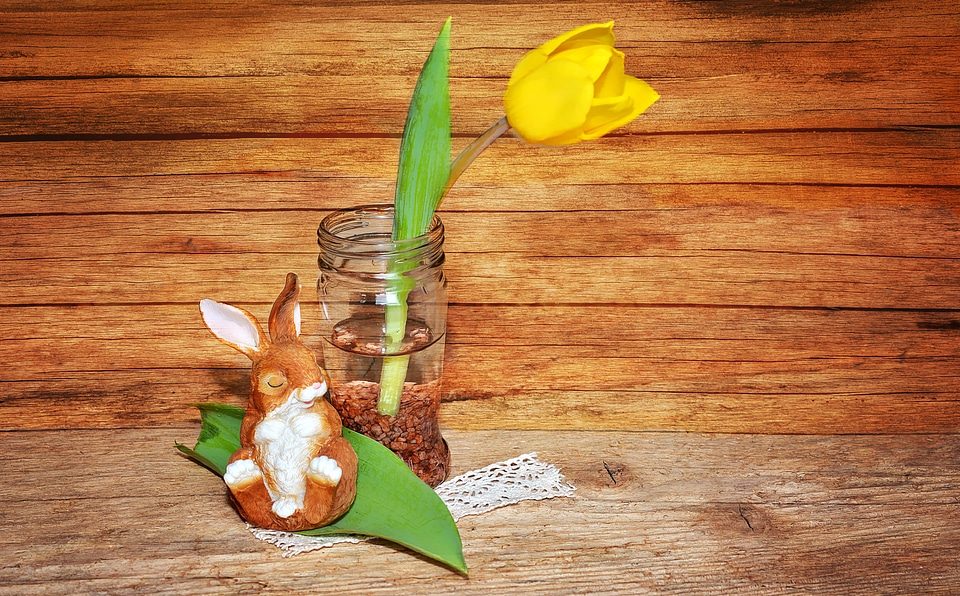 Spring flower hare dekohase