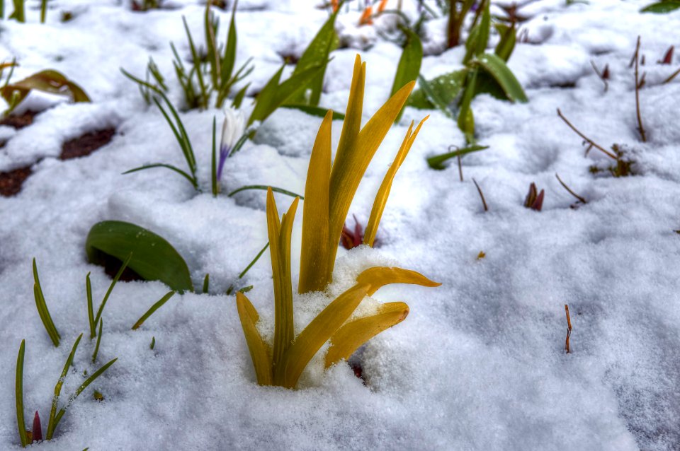 Winter, hello again. (