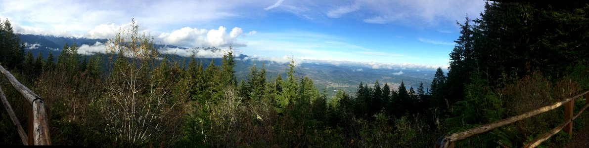 Mt Walker Panoramic, Olympic National Forest