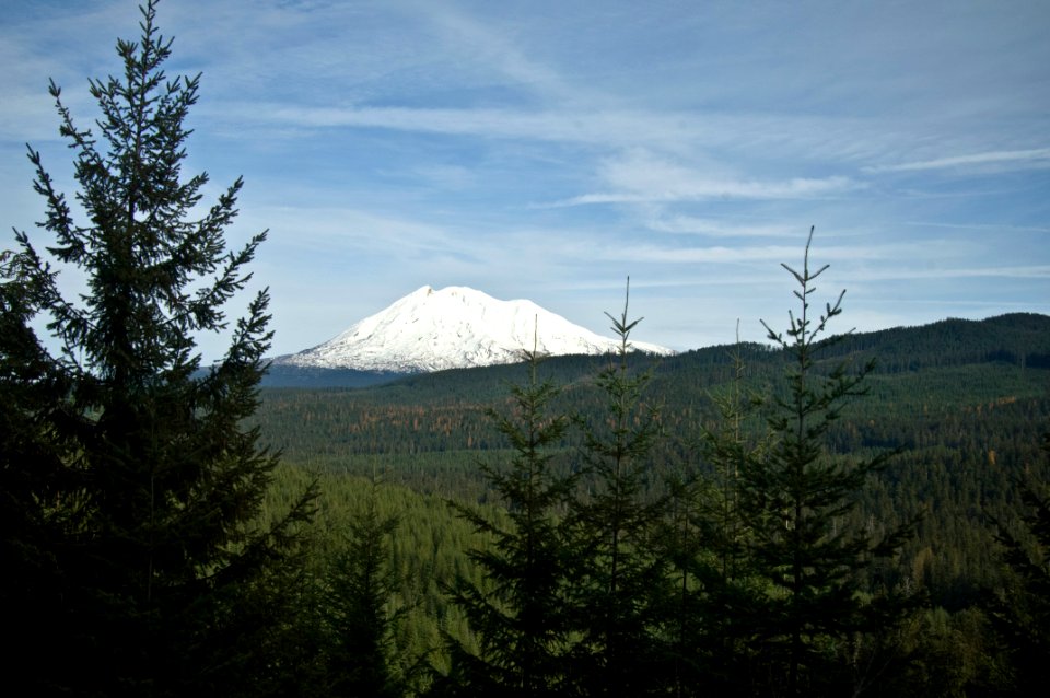 Mt Adams-Gifford Pinchot