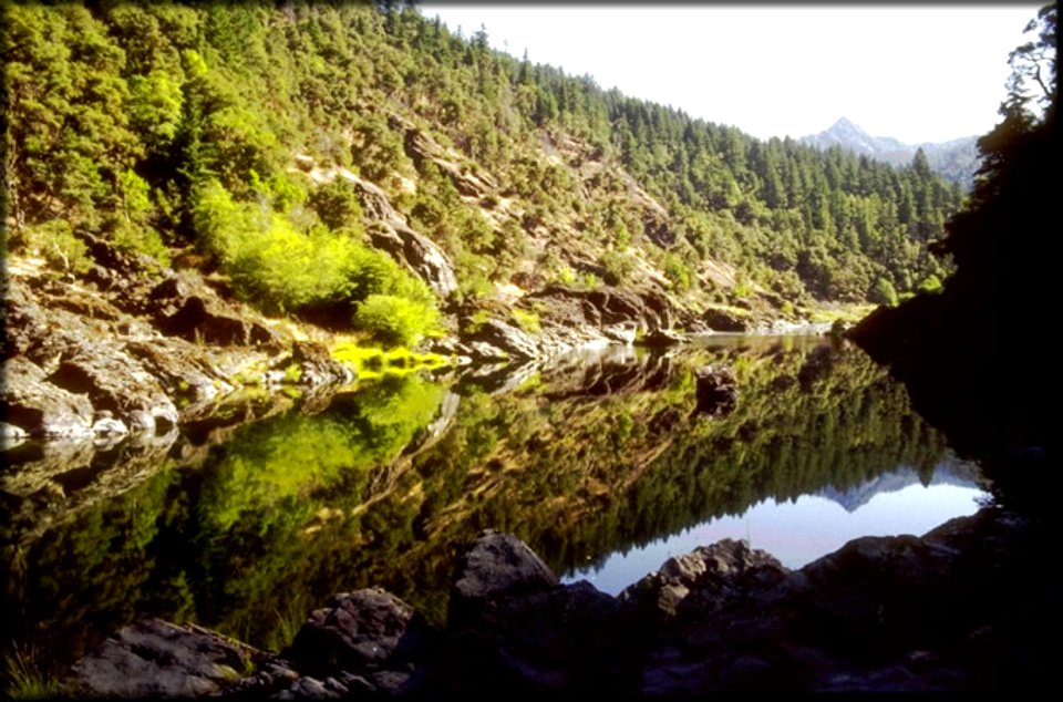 Pistol River in the Kalmiopsis, Rogue River Siskiyou National Forest