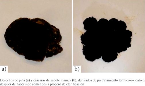 Piña y zapote mamey derivados de pretratamiento térmico-oxidativo