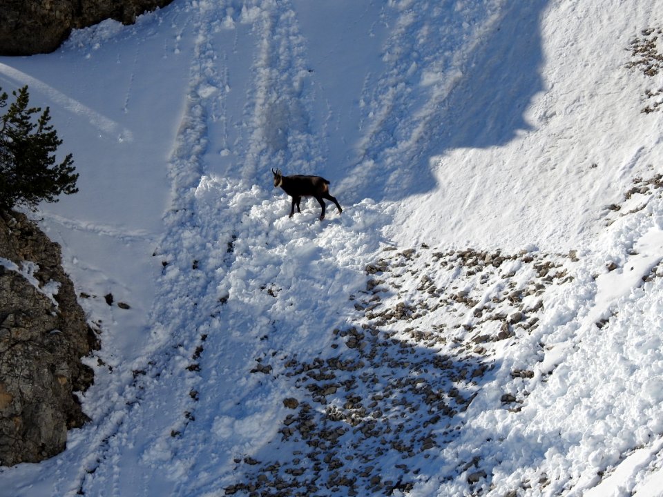 Combe de Fonfiole
