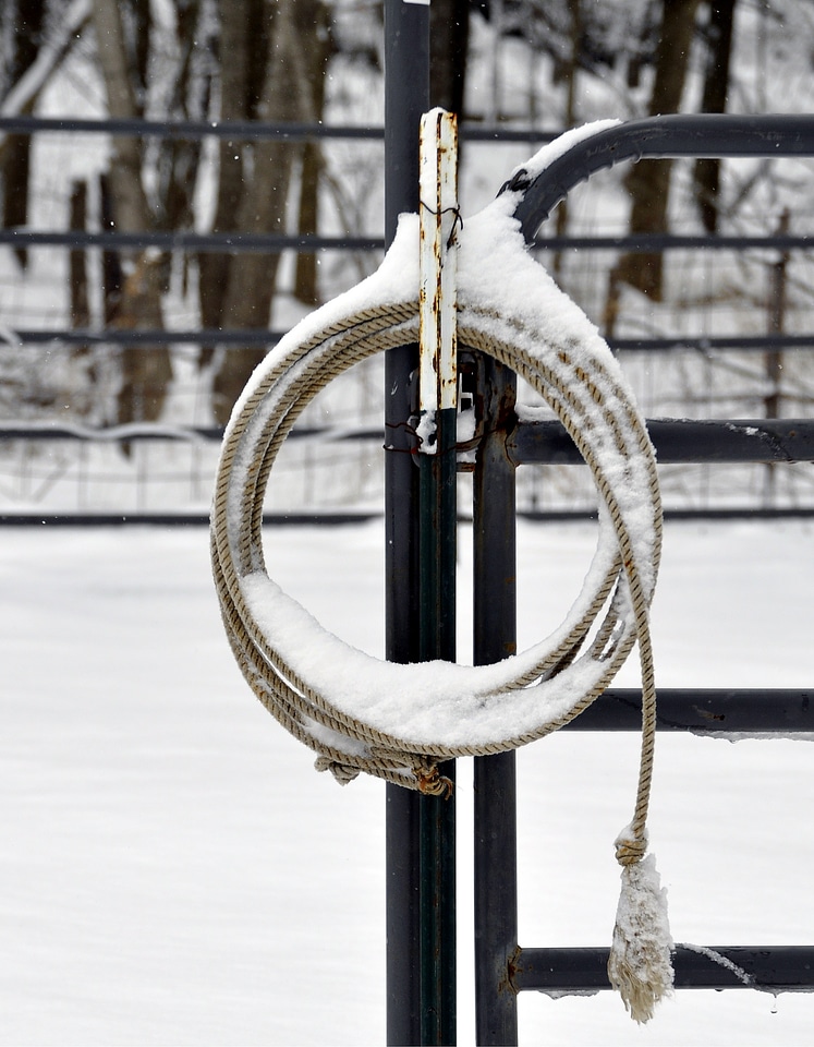 Winter alone lonely