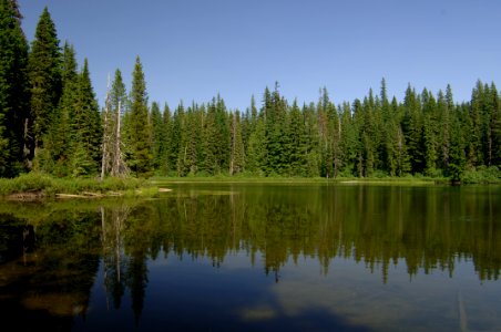 Forlorn Lake & Forest-Gifford Pinchot