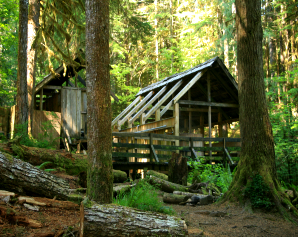 Bagby Hot Springs Cabins-Mt Hood