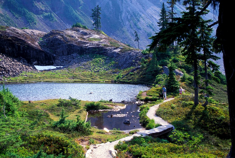 HEATHER MEADOWS ACCESSIBLE TRAIL-MT BAKER SNOQUALMIE