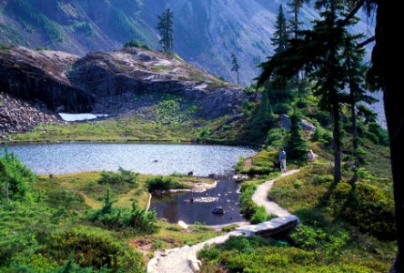 HEATHER MEADOWS ACCESSIBLE TRAIL-MT BAKER SNOQUALMIE