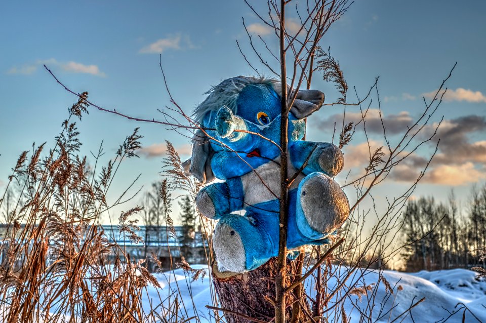 Blue elephant