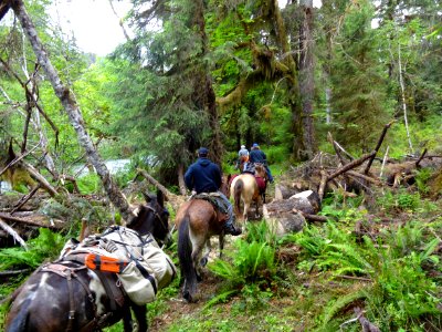Group from Grays Harbor Backcountry Horsemen Packing Supplies-Olympic photo