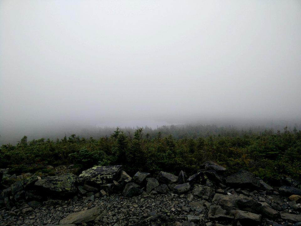 048 - Parc national de la Gaspésie : Mont Albert
