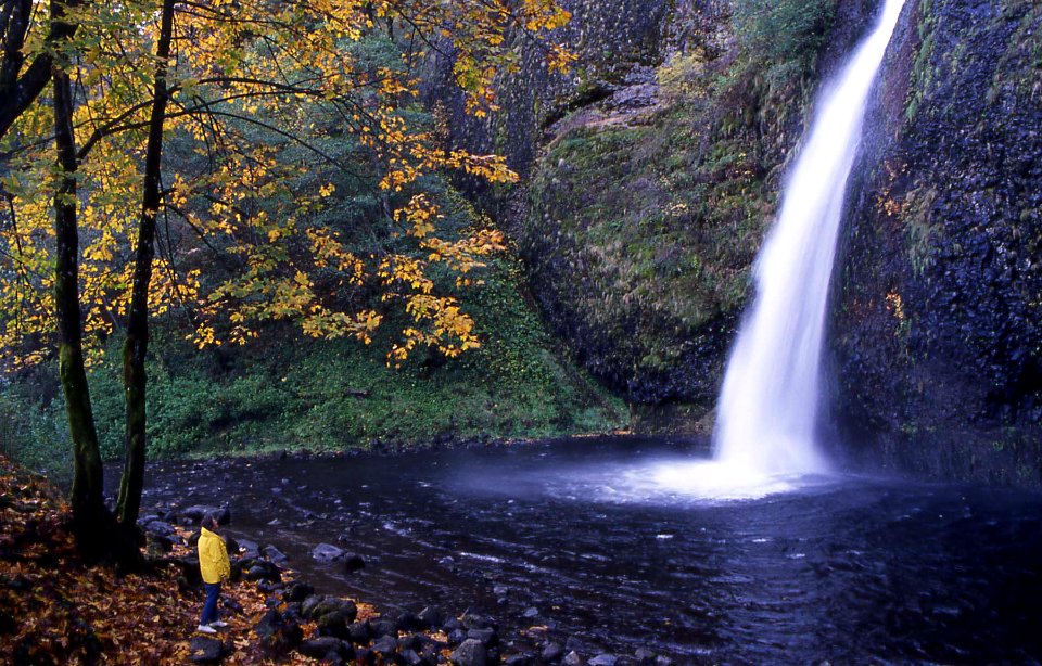 Horsetail Falls in Autumn-Columbia River Gorge