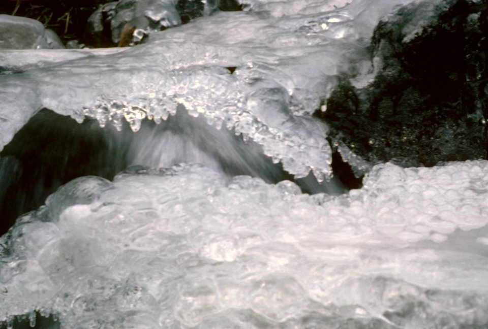 Salmon River Mt Hood National Forest.jpg