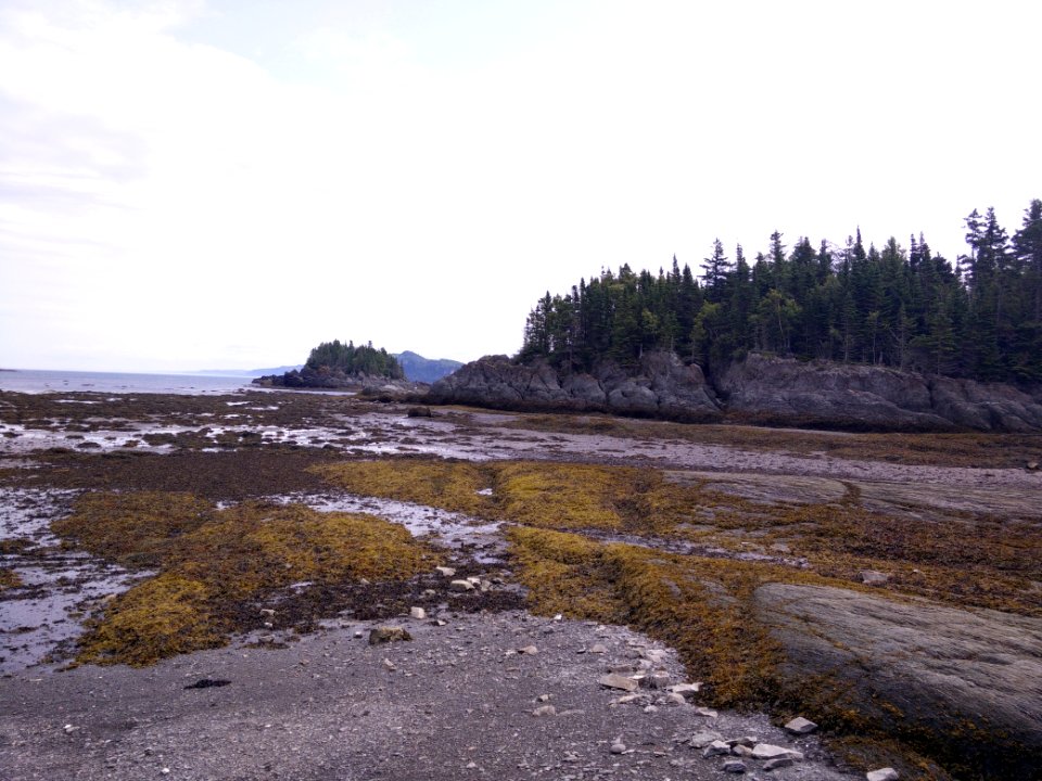 261 - Parc national du Bic : Le Chemin-du-Nord