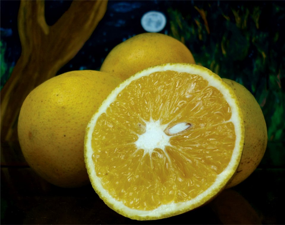 Citrus sinensis Naranja