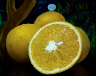 Citrus sinensis Naranja