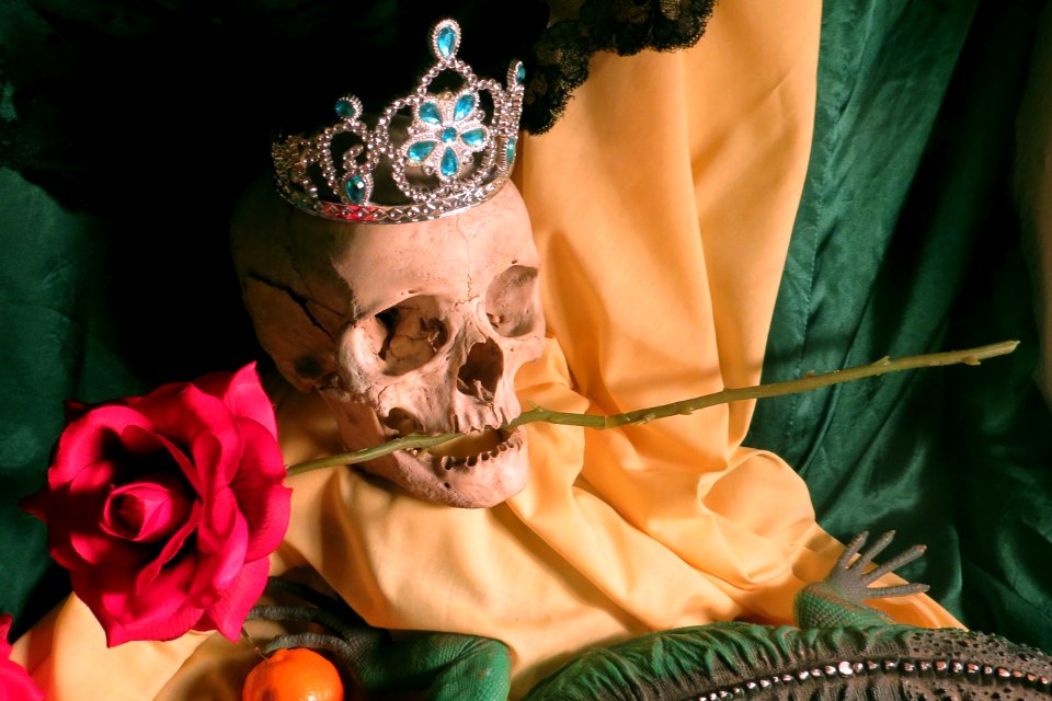 skull with rose and crown