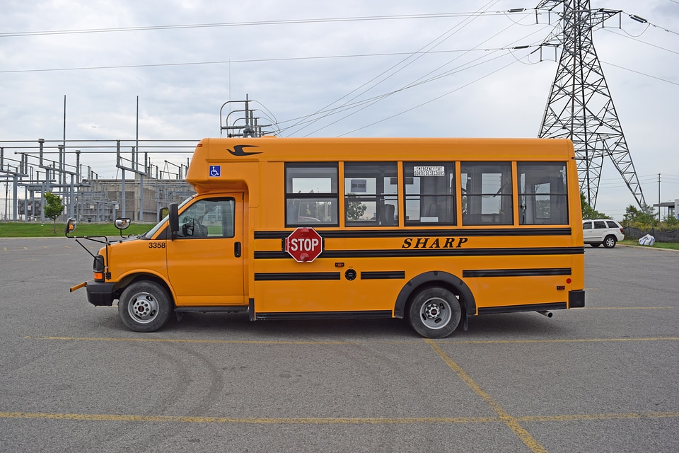 School transport education